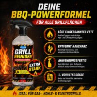 2x1 Liter Grillreiniger